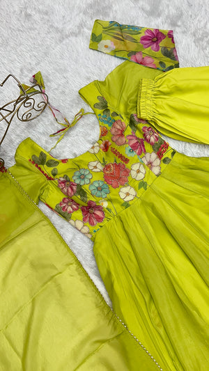 Organza Silk Printed Anarkali Set – Liril